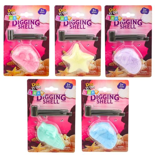 Tengeri régészeti készlet Tengeri fosszíliák Kagylók Eszközök