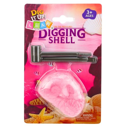 Tengeri régészeti készlet Tengeri fosszíliák Kagylók Eszközök