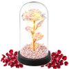 Örök Rózsa Üvegkupolában LED Kristályvilágítás 21,5 x 11 cm