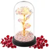 Örök Rózsa Üvegkupolában LED Kristályvilágítás 21,5 x 11 cm