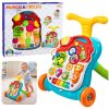 Educational Walker Pusher Table Interactive Panel 5 in 1 Multicolor