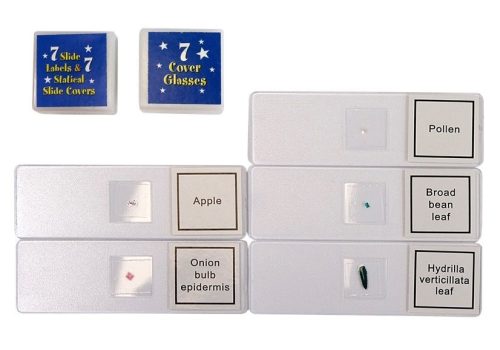 Gyermekmikroszkóp hordtáskában, oktatási tudós, 28 elem, 300x, 600x, 1200x