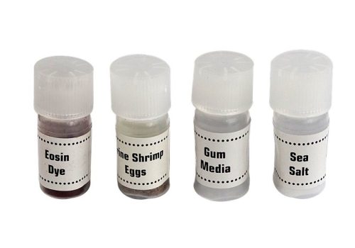 Gyermekmikroszkóp hordtáskában Oktatási tudós 28 elem 300x600x1200x