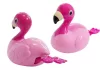 Fürdő flamingó úszik a vízen