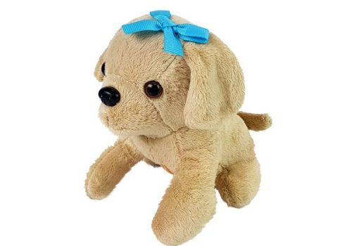 Állatorvos szett kutyával és szállítóval