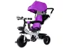 Triciklik PRO300 Ibolya