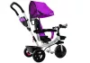 Triciklik PRO300 Ibolya