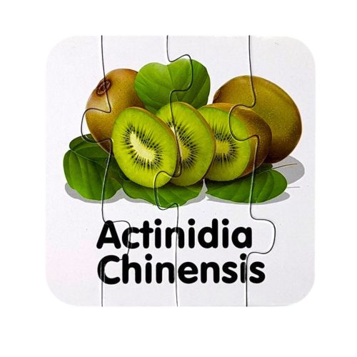 Oktatási Puzzle Fruit Jigsaw Puzzle 10 Connections