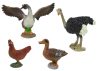 Haszonállat figura készlet Farmer Birds