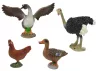 Haszonállat figura készlet Farmer Birds